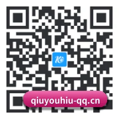 iOS 苹果生态原生版 二维码